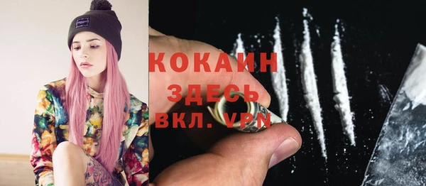 спайс Алексин