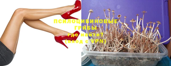 дурь Алексеевка