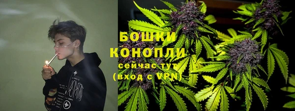 спайс Алексин