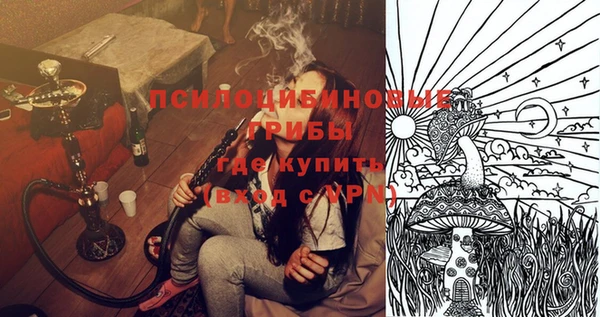 спайс Алексин