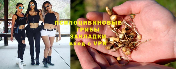 герыч Алзамай